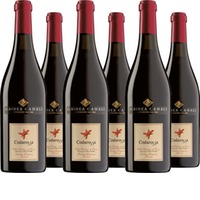 Lambrusco Grasparossa DOC Codarossa