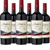 Anderra Carmenère Valle Central