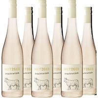 Metzger 'Prachtstück' Spätburgunder Blanc de Noirs KuhbA trocken