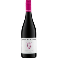 Spätburgunder trocken Rheinhessen - P.J. Valckenberg