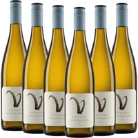 6er Vorteils-Weinpaket Steinbock Sauvignon Blanc - Weingut Hörner