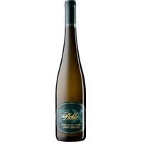 Gruener Veltliner Ried Steinertal DAC