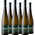 Gruener Veltliner Ried Steinertal DAC 