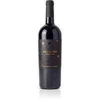 Primitivo Recastro IGP Coli Aprutini 0,75l 14,5% - | Giannicola Dicarlo Vigna