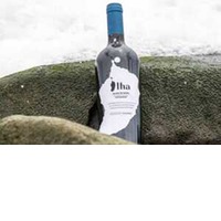 Ilha Blanc de Noir Weisswein von Madeira