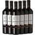 6x Vorteils-Weinpaket Infinitum Primitivo Puglia IGT - Torrevento 