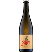 PET NAT trocken Bio - Weingut Galler
