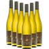6x Vorteils-Weinpaket Scheurebe trocken - Ellermann-Spiegel 