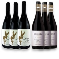 Probierpaket Spanische BioWeine von Concejo Cigales   bio