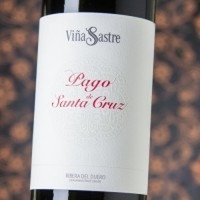 Viña Sastre Pago de Santa Cruz