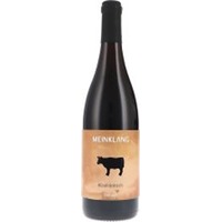 Blaufränkisch - BIO