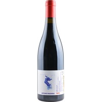 Tinto Colheita -Dão - Portugal