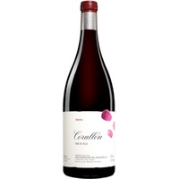 Palacios Bierzo »Villa de Corullón« - 3,0 L. Spanien Rotwein Trocken