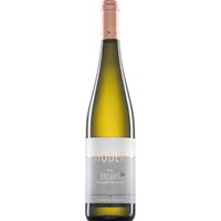 Grüner Veltliner Ried Berg, Traisental DAC, Erste Lage, Niederösterreich, 2022, Weißwein