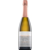 Sekt Blanc de Blancs Grüner Veltliner, Méthode Traditionnelle, Sekt aus Österreich, Niederösterreich, 2020, Schaumwein