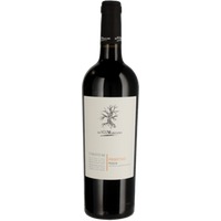 San Marzano I Tratturi Primitivo