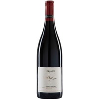 I Prandi Pinot Nero Veneto IGP trocken - Family of Wine