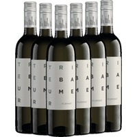 6x Vorteils-Weinpaket Furmint - Triebaumer