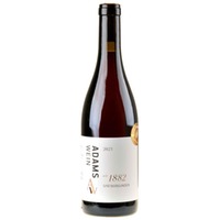 AdamsWein Spätburgunder seit 1882 - Versteigerung