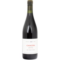 Treinta Y Dos Pinot Noir