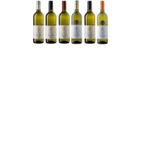 Probierpaket Grüner Veltliner and friends