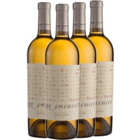 4x Vorteils-Weinpaket Moncucco Moscato d'Asti DOCG - Fontanafredda