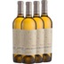 4x Vorteils-Weinpaket Moncucco Moscato d'Asti DOCG - Fontanafredda 