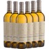 6x Vorteils-Weinpaket Moncucco Moscato d'Asti DOCG - Fontanafredda 