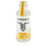 Cabraboc Dry Gin Orange Mini 44 %, 0,1-l-Flasche