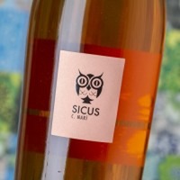 Sicus Cartoixà Marí