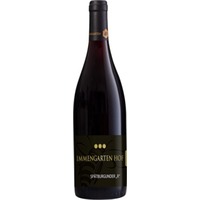 Spätburgunder R trocken - Wein- und Sektgut Immengarten Hof