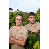 Probepaket Hemer's Beste - Spitzenweine aus dem Wonnegau