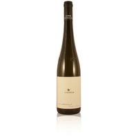Loimer Grüner Veltliner RIED KÄFERBERG 1. ÖTW Kamptal DAC Österreich