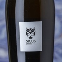 Sicus Cartoixà