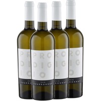 4x Vorteils-Weinpaket Prodigio del Sole Chardonnay - Latentia