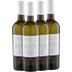 4x Vorteils-Weinpaket Prodigio del Sole Chardonnay - Latentia 
