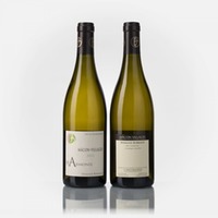 Mâcon-Villages Harmonie