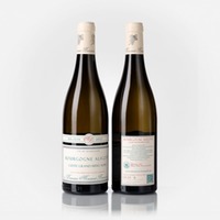 Bourgogne Aligoté Cuvée Grand Mère Aline