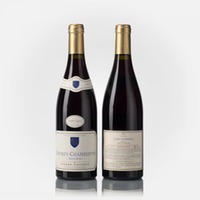 Gevrey-Chambertin Meix Bas