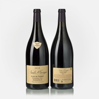 Nuits-Saints-Georges 1er Cru Clos De Thorey