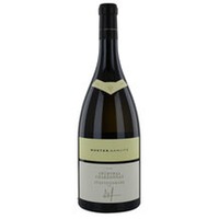 Muster.gamlitz Chardonnay Ried Grubthal 1,5 l Magnum Südsteiermark DAC, Österreich