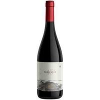 45 Rugientes Pinot Noir - Bio