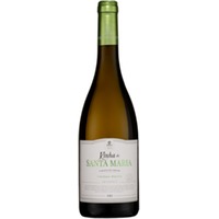 Vinha Santa Maria Granitico Branco