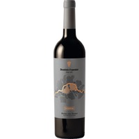 Dominio Fournier Reserva -