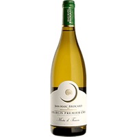 Jean-Marc Brocard : Chablis 1er cru Montée de Tonnerre