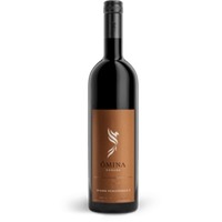 Omina Romana Diana Nemorensis I