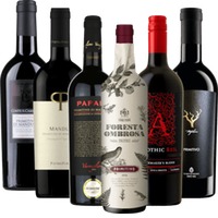 Primitivo Bestseller Hidden Champions 6x Probierpaket von VINELLO