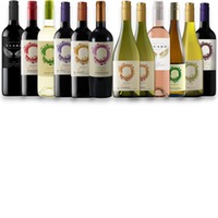 Emiliana Chile BioWeine 12er Probierpaket   bio
