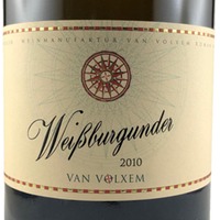 Van Volxem Weissburgunder