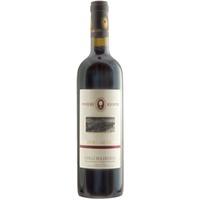 Cabernet Sauvignon Colli Bolognesi DOC trocken - Podere Riosto